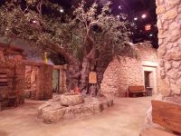 museum-of-the-bible-washington-dc-sundek_957 (1)